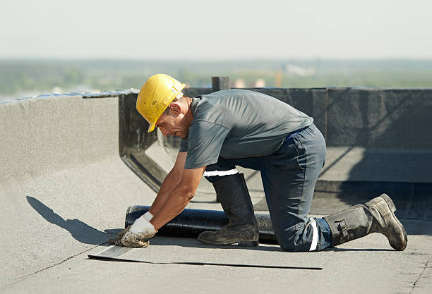 Best Residential Insulation in Bradenton, FL